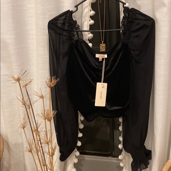 • Velvet Mesh Black Crop Top • - Picture 3 of 5